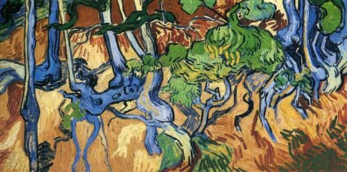 Vincent van Gogh, Tre radici (1890)